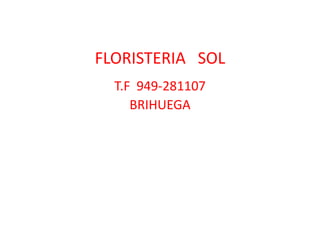 FLORISTERIA SOL
T.F 949-281107
BRIHUEGA
 