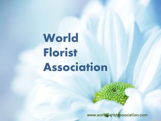 World
Florist
Association
www.worldfloristassociation.com
 