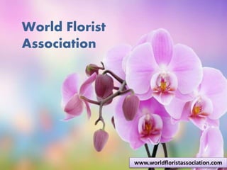World florist
association
www.worldfloristassociation.com
World Florist
Association
 