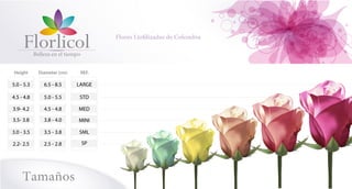 Flores Liofilizadas de Colombia
Tamaños
REF.Diameter (cm)Height
LARGE6.5 - 8.55.0 - 5.3
STD5.0 - 5.54.5 - 4.8
MED4.5 - 4.83.9- 4.2
MINI3.8 - 4.03.5- 3.8
SML3.5 - 3.83.0 - 3.5
SP2.5 - 2.82.2- 2.5
 