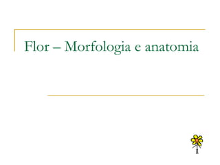 Flor – Morfologia e anatomia 