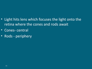 • Light hits lens which focuses the light onto the
retina where the cones and rods await
• Cones- central
• Rods - periphery

11

 