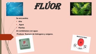 Flúor
Se encuentra:
 Aire
 Agua
 Plantas
Al combinarse con agua:
Produce fluoruro de hidrogeno y oxigeno.
 
