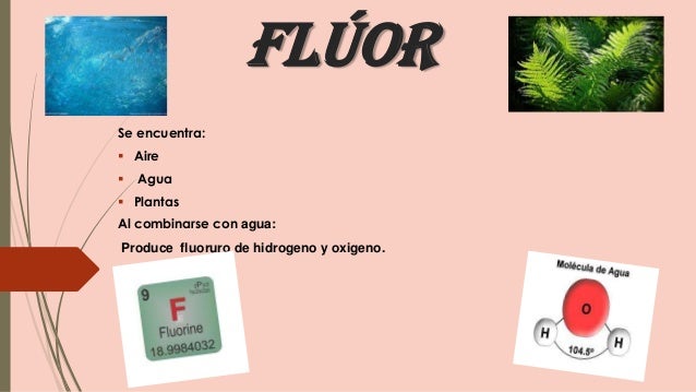 alimentos q contienen fluor fl 250 or presentacion power point alimentos q contienen fluor fl 250 or presentacion power point