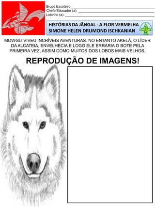 Grupo Escoteiro ____________________________________________
Chefe Educador (a): ________________________________________
Lobinho (a): _______________________________________________
HISTÓRIAS DA JÂNGAL - A FLOR VERMELHA
SIMONE HELEN DRUMOND ISCHKANIAN
MOWGLI VIVEU INCRÍVEIS AVENTURAS. NO ENTANTO AKELÁ, O LÍDER
DA ALCATEIA, ENVELHECIA E LOGO ELE ERRARIA O BOTE PELA
PRIMEIRA VEZ, ASSIM COMO MUITOS DOS LOBOS MAIS VELHOS.
REPRODUÇÃO DE IMAGENS!
 