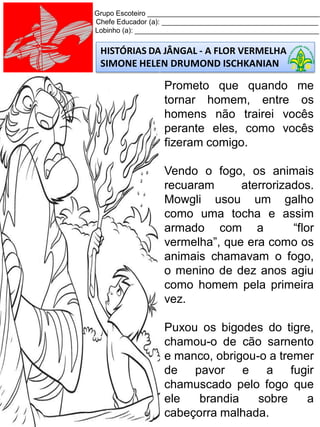 Grupo Escoteiro ____________________________________________
Chefe Educador (a): ________________________________________
Lobinho (a): _______________________________________________
HISTÓRIAS DA JÂNGAL - A FLOR VERMELHA
SIMONE HELEN DRUMOND ISCHKANIAN
Prometo que quando me
tornar homem, entre os
homens não trairei vocês
perante eles, como vocês
fizeram comigo.
Vendo o fogo, os animais
recuaram aterrorizados.
Mowgli usou um galho
como uma tocha e assim
armado com a “flor
vermelha”, que era como os
animais chamavam o fogo,
o menino de dez anos agiu
como homem pela primeira
vez.
Puxou os bigodes do tigre,
chamou-o de cão sarnento
e manco, obrigou-o a tremer
de pavor e a fugir
chamuscado pelo fogo que
ele brandia sobre a
cabeçorra malhada.
 