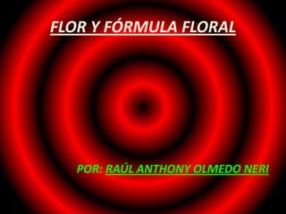 FLOR Y FÓRMULA FLORAL




   POR: RAÚL ANTHONY OLMEDO NERI
 