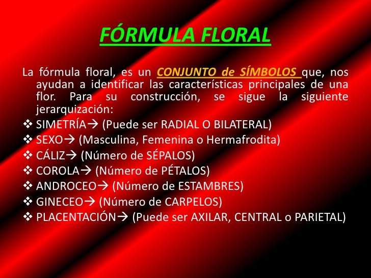 Flor y fórmula floral