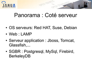 Panorama : Coté serveur
●

OS serveurs: Red HAT, Suse, Debian

●

Web : LAMP

●

●

Serveur application : Jboss, Tomcat,
Glassfish,...
SGBR : Postgresql, MySql, Firebird,
BerkeleyDB

 