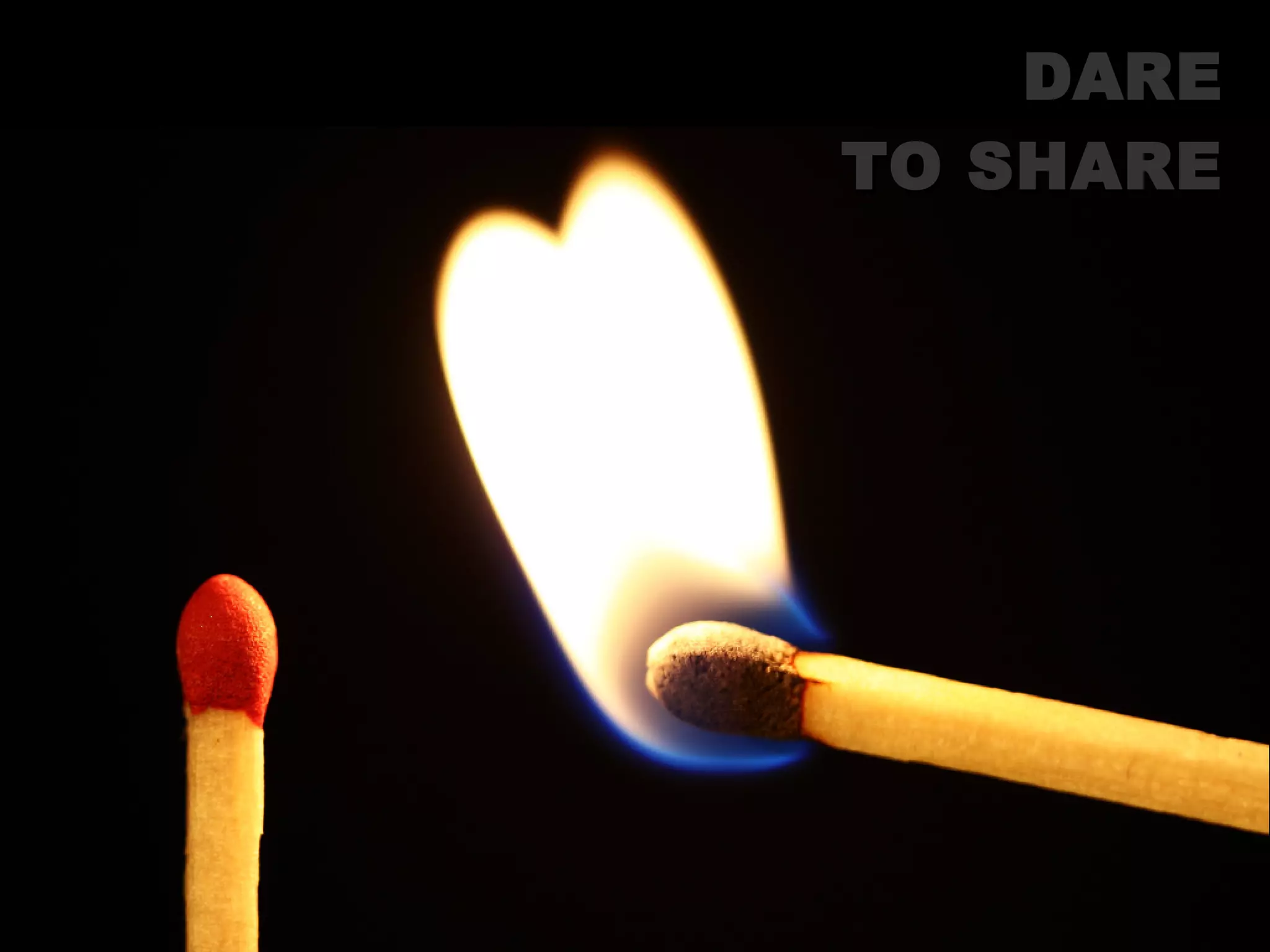 79
DAREDARE
TO SHARETO SHARE
 