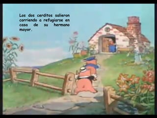 Los dos cerditos salieron corriendo a refugiarse en casa de su hermano mayor. 