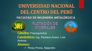 Cátedra: Fisicoquímica
Catedrático: Ing. Pacheco Acero, Luis
Antonio
Alumno:
 Pérez Poma, Alejandro
 