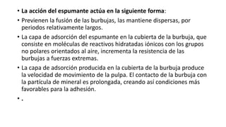 • La acción del espumante actúa en la siguiente forma:
• Previenen la fusión de las burbujas, las mantiene dispersas, por
periodos relativamente largos.
• La capa de adsorción del espumante en la cubierta de la burbuja, que
consiste en moléculas de reactivos hidratadas iónicos con los grupos
no polares orientados al aire, incrementa la resistencia de las
burbujas a fuerzas extremas.
• La capa de adsorción producida en la cubierta de la burbuja produce
la velocidad de movimiento de la pulpa. El contacto de la burbuja con
la partícula de mineral es prolongada, creando así condiciones más
favorables para la adhesión.
• .
 
