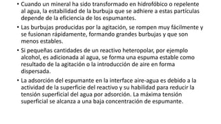 • Cuando un mineral ha sido transformado en hidrofóbico o repelente
al agua, la estabilidad de la burbuja que se adhiere a estas partículas
depende de la eficiencia de los espumantes.
• Las burbujas producidas por la agitación, se rompen muy fácilmente y
se fusionan rápidamente, formando grandes burbujas y que son
menos estables.
• Si pequeñas cantidades de un reactivo heteropolar, por ejemplo
alcohol, es adicionada al agua, se forma una espuma estable como
resultado de la agitación o la introducción de aire en forma
dispersada.
• La adsorción del espumante en la interface aire-agua es debido a la
actividad de la superficie del reactivo y su habilidad para reducir la
tensión superficial del agua por adsorción. La máxima tensión
superficial se alcanza a una baja concentración de espumante.
 