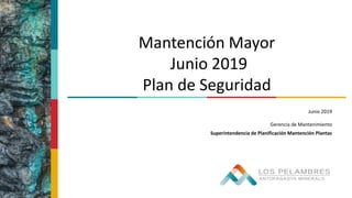 Junio 2019
Gerencia de Mantenimiento
Superintendencia de Planificación Mantención Plantas
Mantención Mayor
Junio 2019
Plan de Seguridad
 