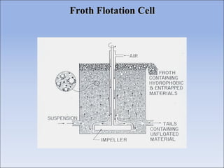 Froth Flotation CellFroth Flotation Cell
 