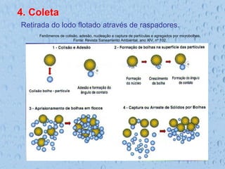 4. Coleta
Retirada do lodo flotado através de raspadores.
Fenômenos de colisão, adesão, nucleação e captura de partículas e agregados por microbolhas.
Fonte: Revista Saneamento Ambiental, ano XIV, nº 102.
 
