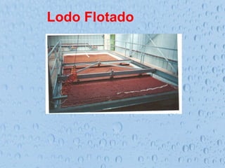 Lodo Flotado
 