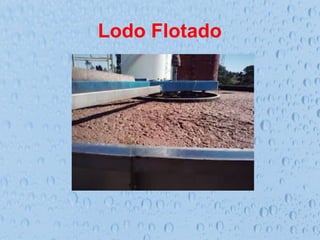 Lodo Flotado
 