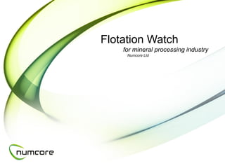 Flotation Watch
    for mineral processing industry
     Numcore Ltd
 
