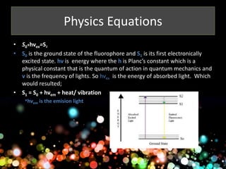 Physics Equations 
• S0+hvex=S1 
• S0 is the ground state of the fluorophore and S1 is its first electronically 
excited state. hv is energy where the h is Planc’s constant which is a 
physical constant that is the quantum of action in quantum mechanics and 
v is the frequency of lights. So hvex is the energy of absorbed light. Which 
would resulted; 
• S1 = S0 + hvem + heat/ vibration 
*hvem is the emision light 
 