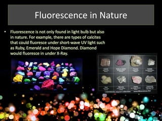 Fluorescence in Nature 
• Fluorescence is not only found in light bulb but also 
in nature. For example, there are types of calcites 
that could fluoresce under short-wave UV light such 
as Ruby, Emerald and Hope Diamond. Diamond 
would fluoresce in under X-Ray. 
 