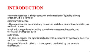 INTRODUCTION
• Bioluminescence is the production and emission of light by a living
organism. It is a form of
chemiluminescence.
• Bioluminescence occurs widely in marine vertebrates and invertebrates, as
well as in some
fungi, microorganisms including some bioluminescent bacteria, and
terrestrial arthropods such
as fireflies.
• In some animals, the light is bacteriogenic, produced by symbiotic bacteria
such as those from
the genus Vibrio; in others, it is autogenic, produced by the animals
themselves.
1
 
