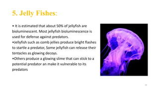 Flourescence and phosphorescence