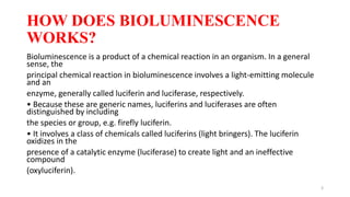 Flourescence and phosphorescence