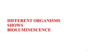 Flourescence and phosphorescence