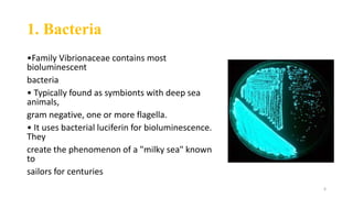 Flourescence and phosphorescence