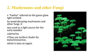 Flourescence and phosphorescence