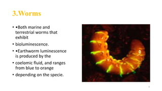 Flourescence and phosphorescence