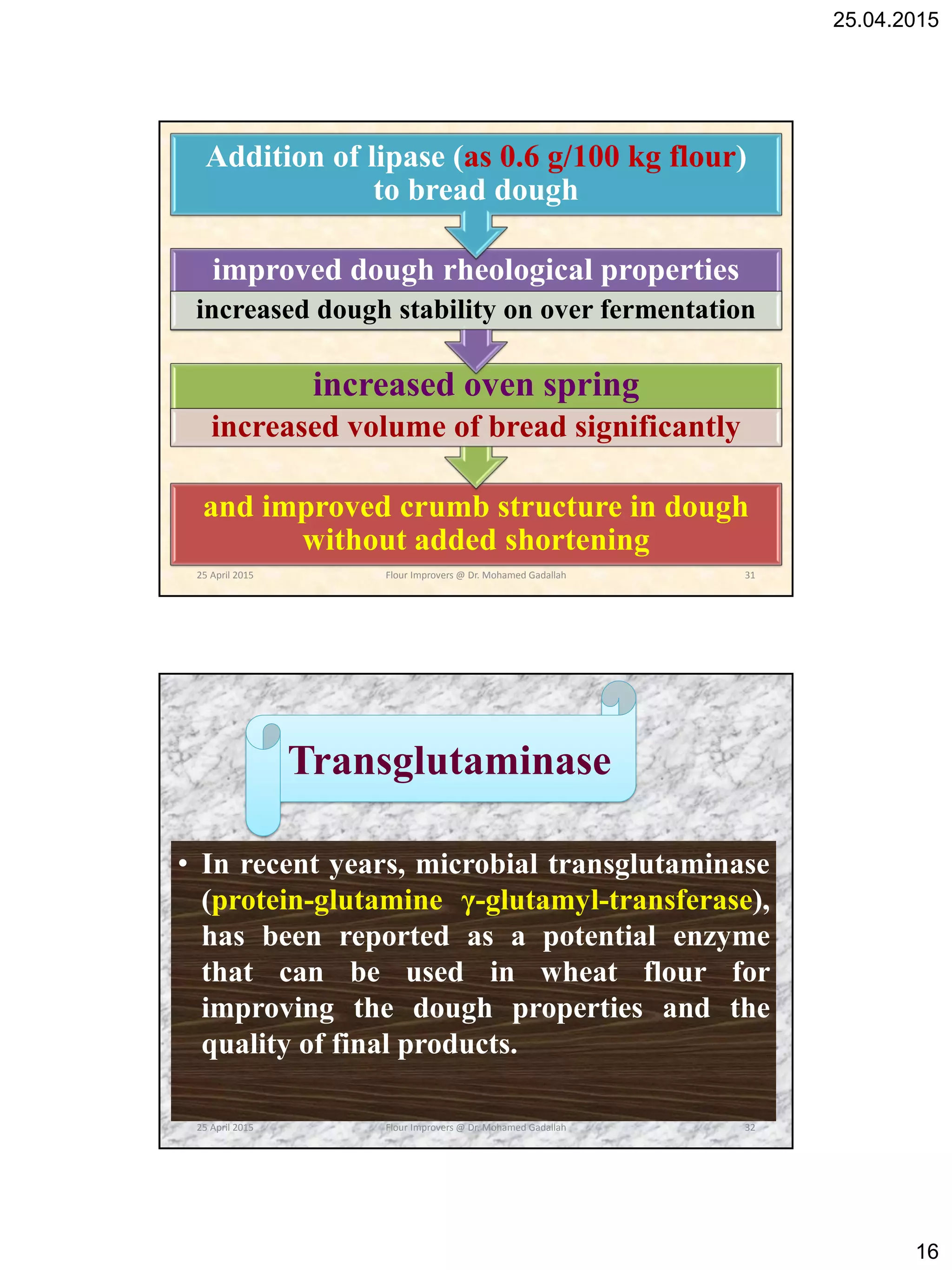 25.04.2015
16
and improved crumb structure in dough
without added shortening
increased oven spring
increased volume of bread significantly
improved dough rheological properties
increased dough stability on over fermentation
Addition of lipase (as 0.6 g/100 kg flour)
to bread dough
25 April 2015 31Flour Improvers @ Dr. Mohamed Gadallah
• In recent years, microbial transglutaminase
(protein-glutamine γ-glutamyl-transferase),
has been reported as a potential enzyme
that can be used in wheat flour for
improving the dough properties and the
quality of final products.
Transglutaminase
25 April 2015 32Flour Improvers @ Dr. Mohamed Gadallah
 