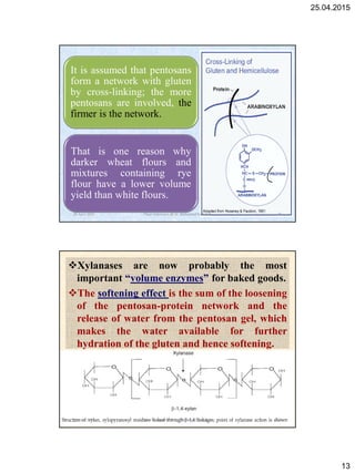 25.04.2015
13
It is assumed that pentosans
form a network with gluten
by cross-linking; the more
pentosans are involved, the
firmer is the network.
That is one reason why
darker wheat flours and
mixtures containing rye
flour have a lower volume
yield than white flours.
25 April 2015 25Flour Improvers @ Dr. Mohamed Gadallah
Xylanases are now probably the most
important “volume enzymes” for baked goods.
The softening effect is the sum of the loosening
of the pentosan-protein network and the
release of water from the pentosan gel, which
makes the water available for further
hydration of the gluten and hence softening.
25 April 2015 26Flour Improvers @ Dr. Mohamed Gadallah
 
