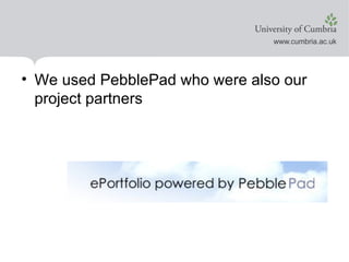 We used PebblePad who were also our project partners
