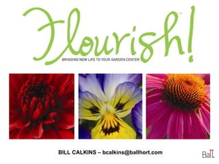 BILL CALKINS – bcalkins@ballhort.com 