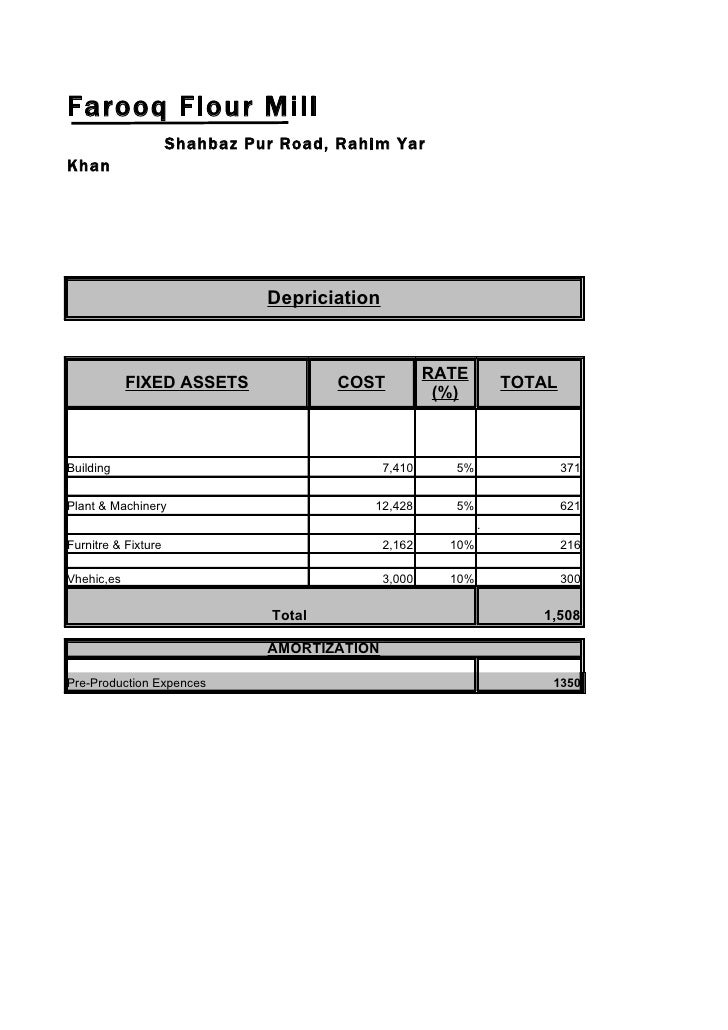 Flour mill feasibility report