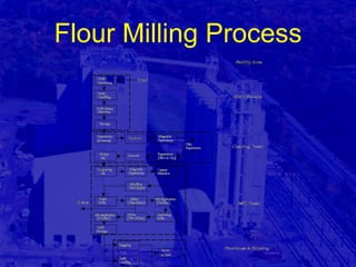 Flour Milling Process 