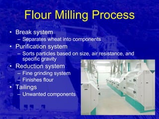 Flour Milling Process Break system Separates wheat into components Purification system Sorts particles based on size, air resistance, and specific gravity  Reduction system Fine grinding system Finishes flour Tailings Unwanted components 