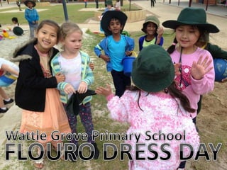 Wattle Grove Primary School - Flouro Dress Day 2017