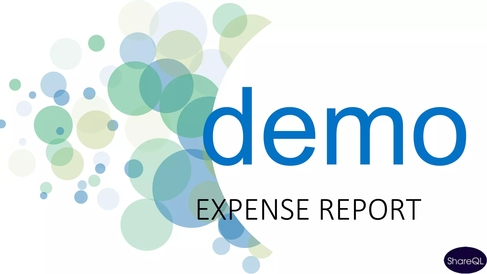 demo
EXPENSE REPORT
 