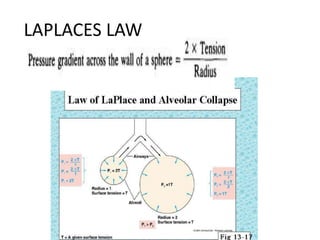 LAPLACES LAW
 