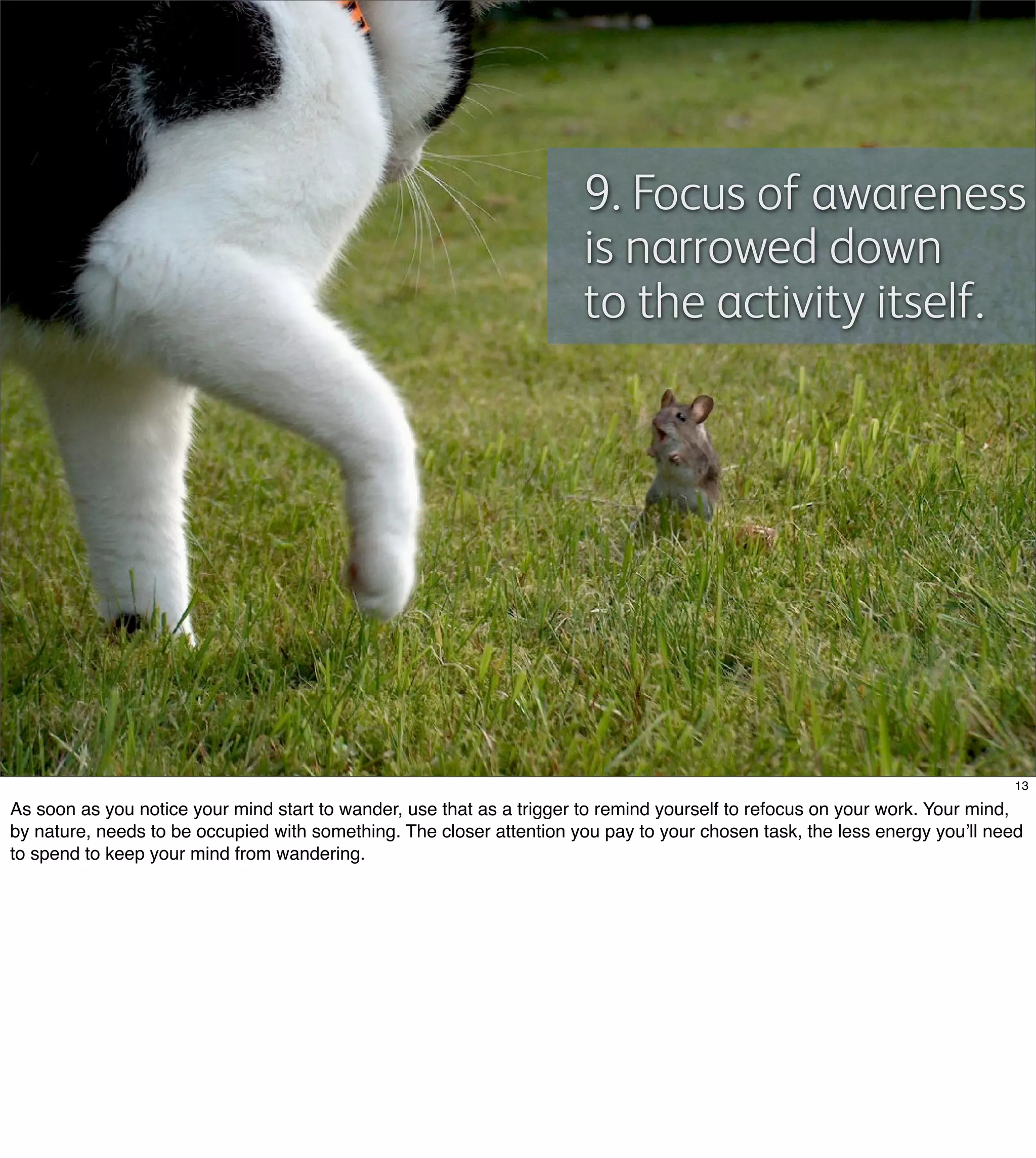 Flow: Getting into the zone at work