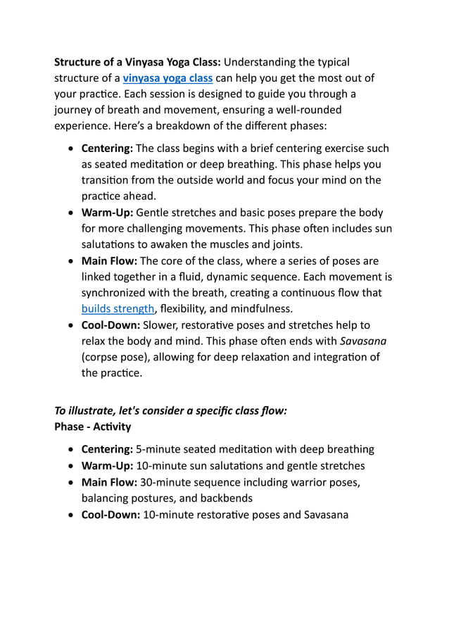 VINYASA main image 1