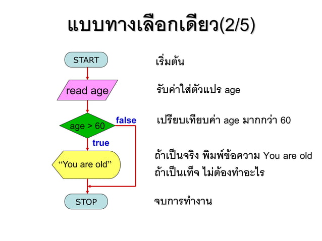 หลักการเขียนผังงาน(Flow chart) | PDF