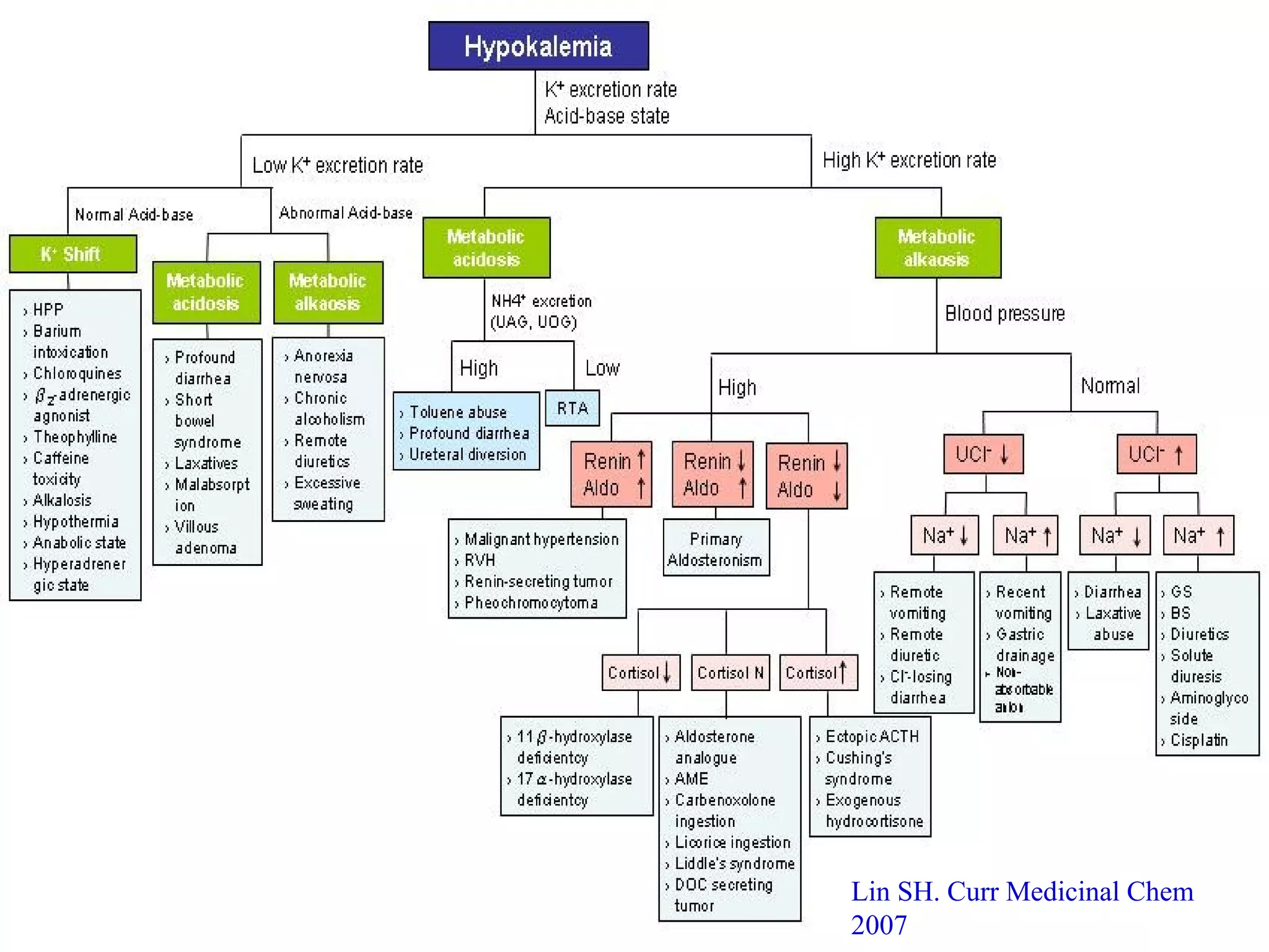 Lin SH. Curr Medicinal Chem
2007
 