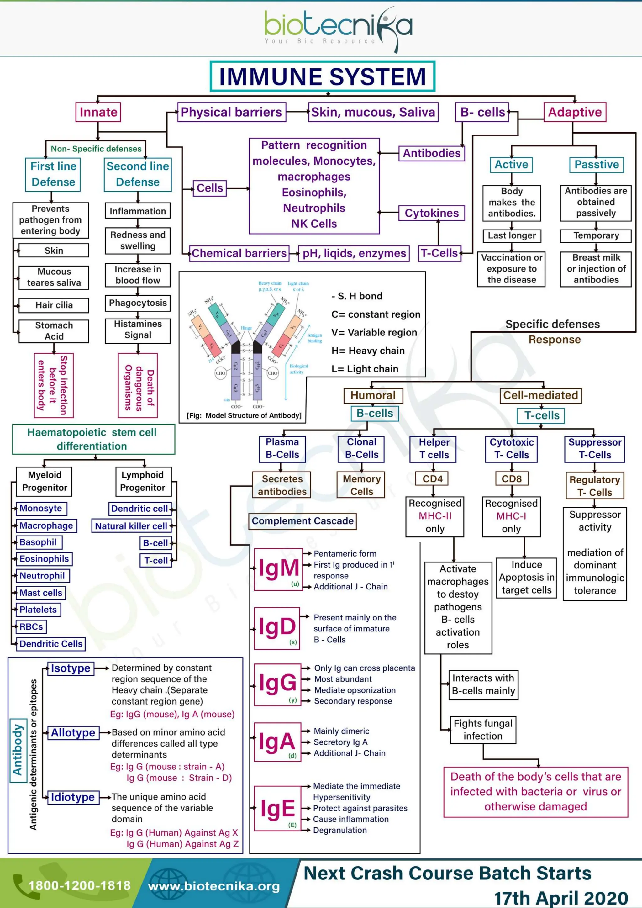 Flow chart.pdf  LIFE SCIENCES CSIR UGC NET CONTENT