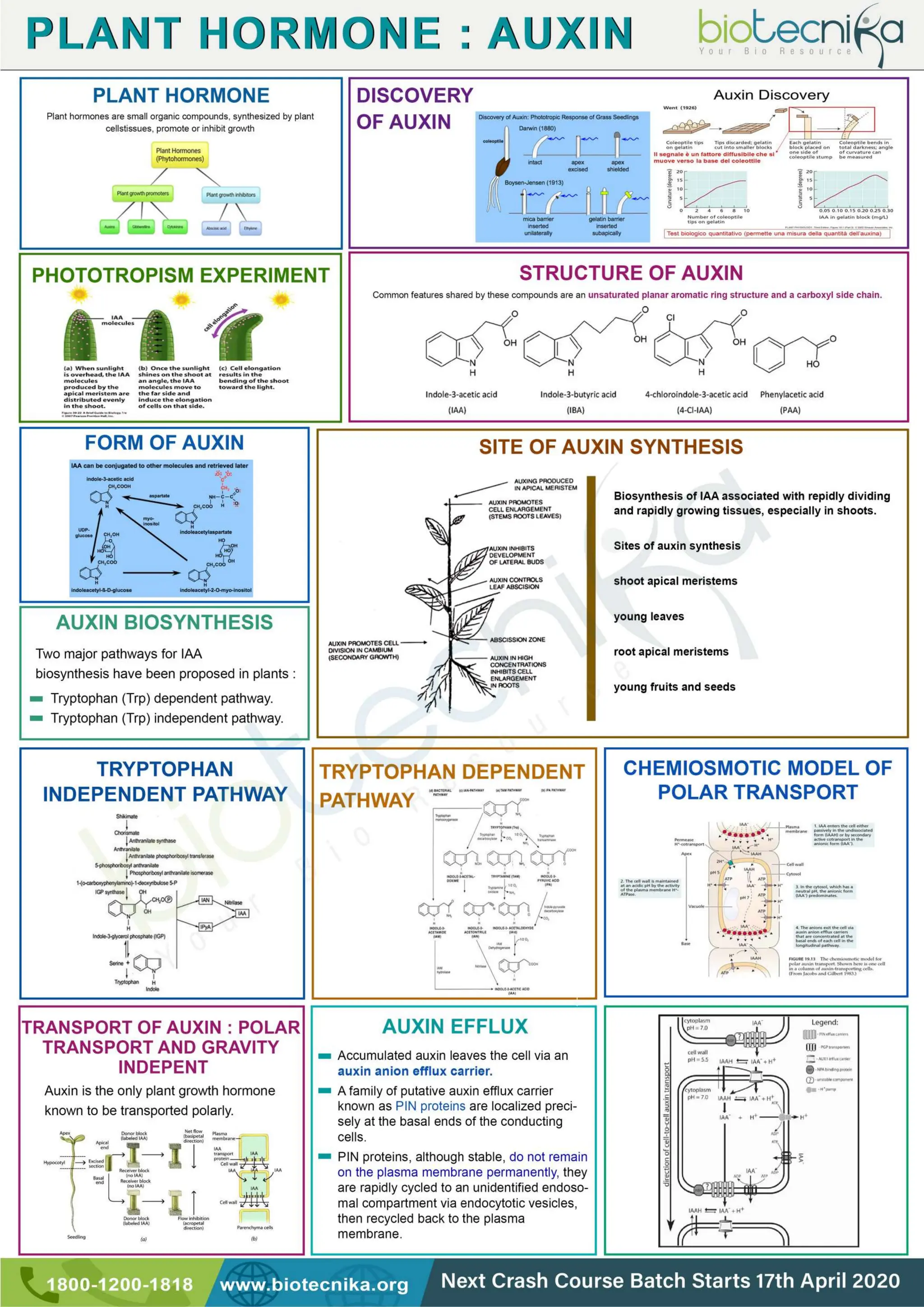 Flow chart.pdf  LIFE SCIENCES CSIR UGC NET CONTENT