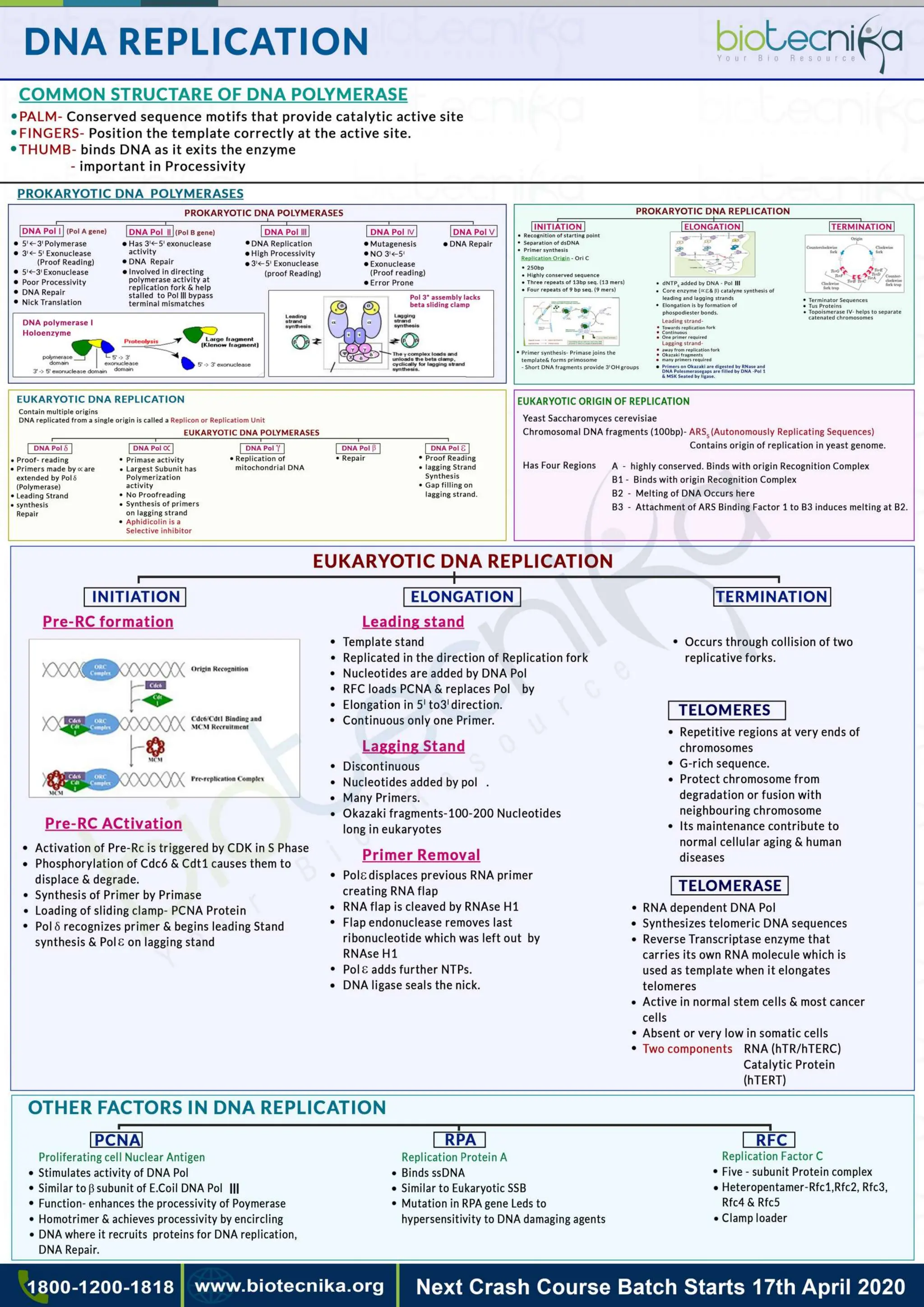 Flow chart.pdf  LIFE SCIENCES CSIR UGC NET CONTENT